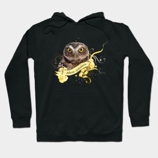 Owl Hoodie